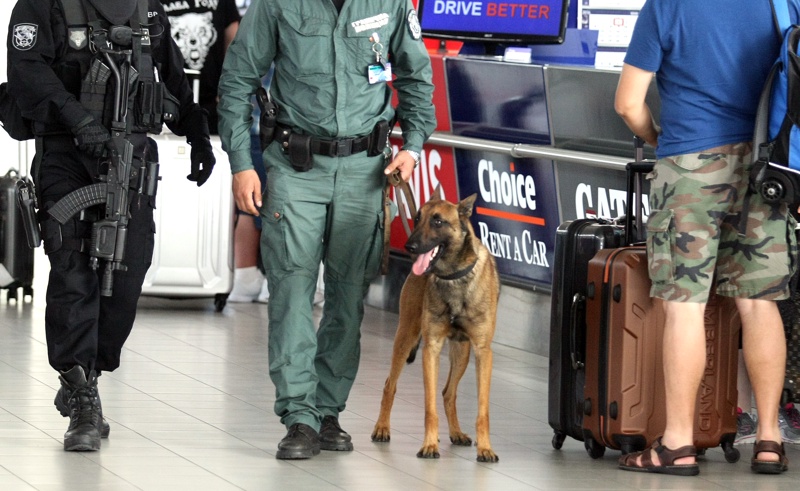 Interdicție de călătorie — control vamal cu câine de detecție